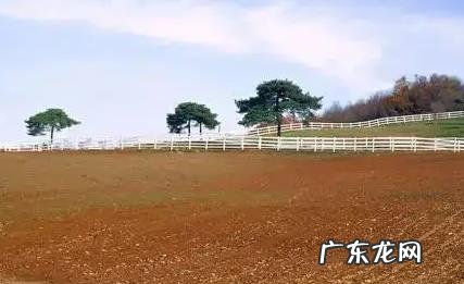在农村承包土地国 在农村承包土地国家有补贴吗