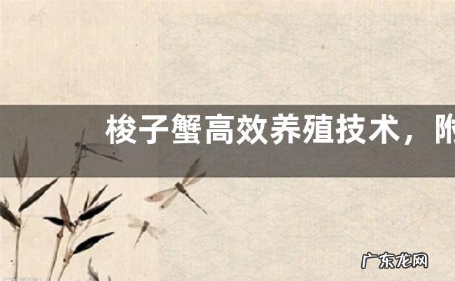 梭子蟹高效养殖技术，附养殖管理要点和注意事项