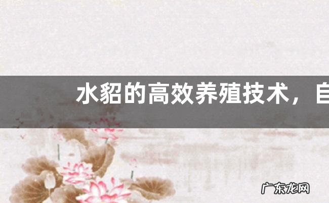 水貂的高效养殖技术,自然光周期的转变