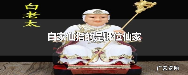 白家仙指的是哪位仙家