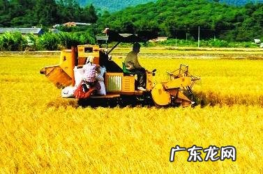 2022年农村土 2022年农村土地征地补偿程序是怎样的