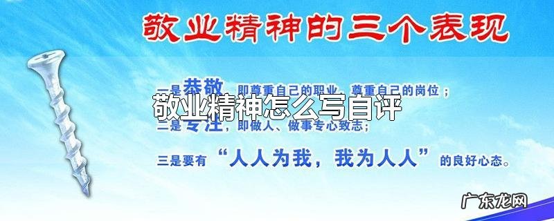 敬业精神怎么写自评