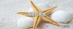 海星的天敌