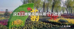 汉口江滩菊花展从哪个门进去