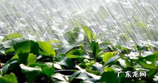 下雨天合适发朋友 下雨天适合发朋友圈的句子