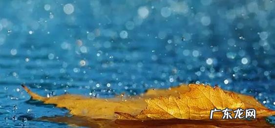 下雨天合适发朋友 下雨天适合发朋友圈的句子