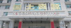 国土资源局现在改成叫什么局