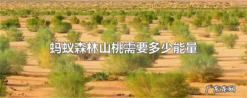蚂蚁森林山桃需要多少能量