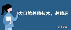 大口鲶养殖技术，养殖环境条件