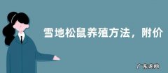 雪地松鼠养殖方法，附价格和品种