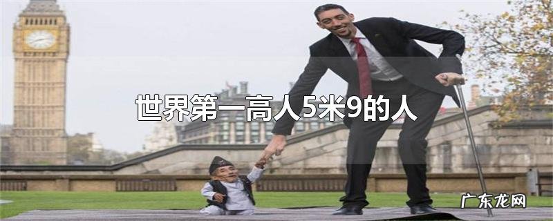 世界第一高人5米9的人