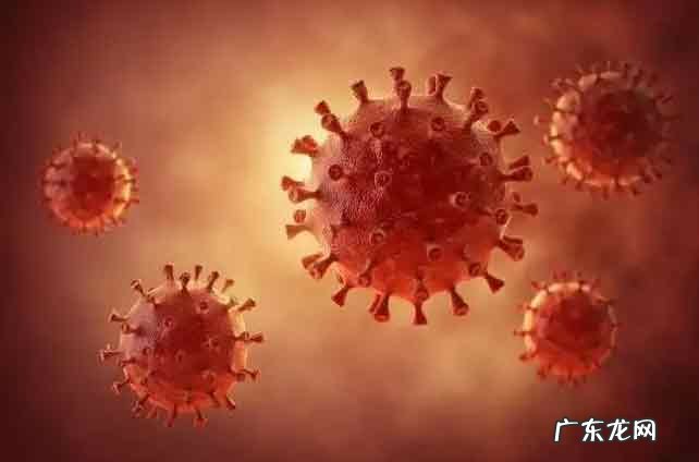 新冠病毒2022 新冠病毒2022年会消失吗