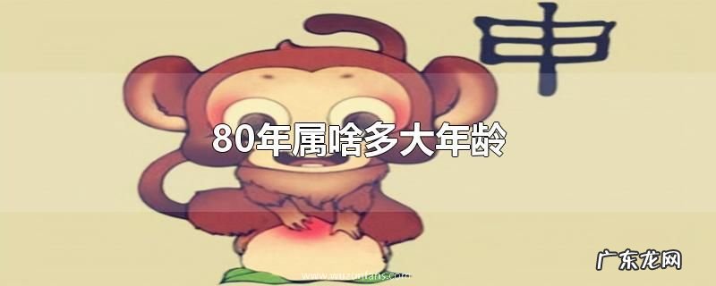 80年属啥多大年龄