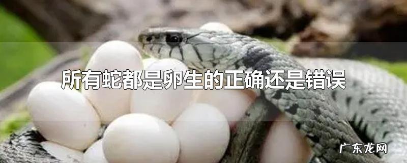 所有蛇都是卵生的正确还是错误