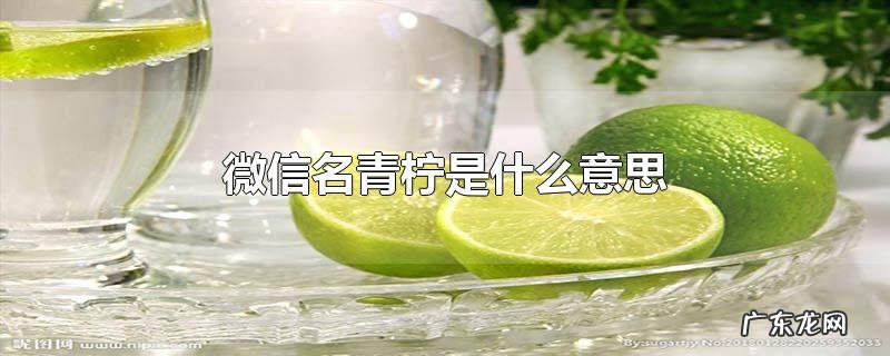 微信名青柠是什么意思