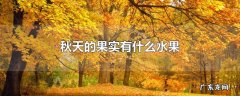 秋天的果实有什么水果