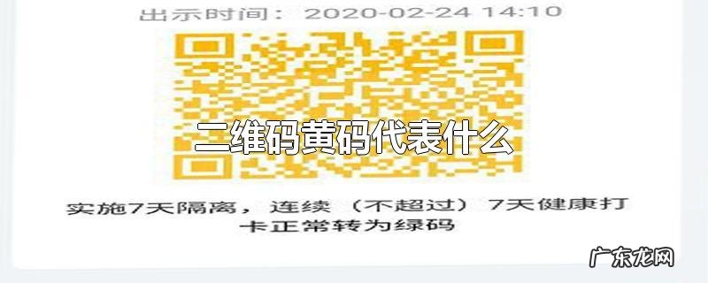 二维码黄码代表什么
