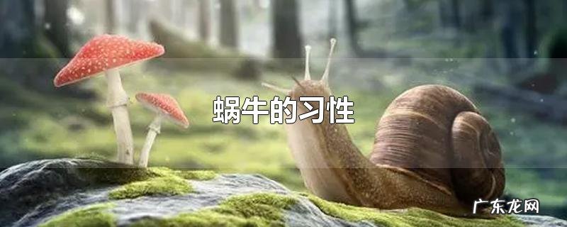 蜗牛的习性