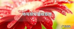 特写照片是啥意思