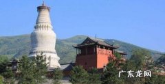 5台山佛协报案多 五台山佛协报案多名和尚尼姑聚餐分钱