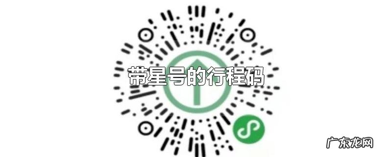 带星号的行程码