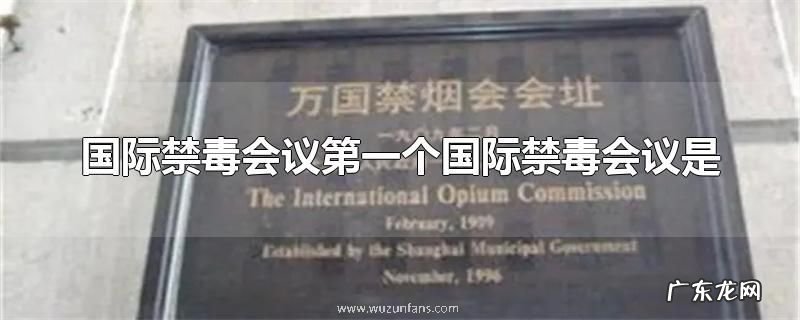 国际禁毒会议第一个国际禁毒会议是