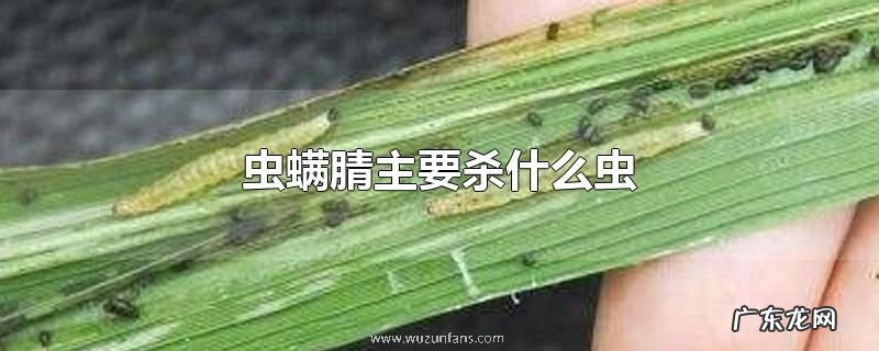 虫螨腈主要杀什么虫