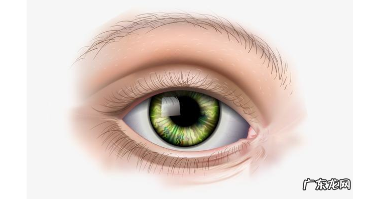 生活中保护眼睛的 生活中保护眼睛的方法