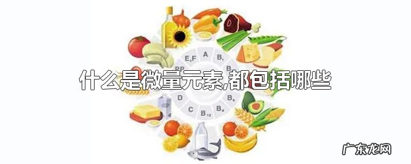 什么是微量元素,都包括哪些