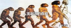 人类起源的真相