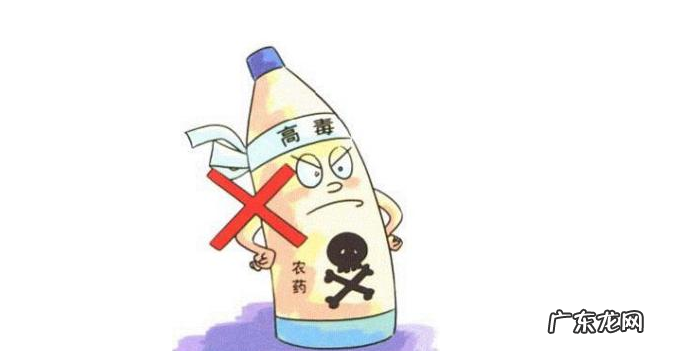 被姐夫投毒百草枯 被姐夫投毒百草枯女孩需肺移植