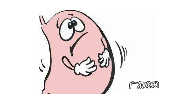 在平常生活中如何 在日常生活中如何预防胃病