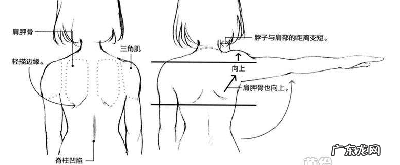 直角肩居然是病态 直角肩竟然是病态肩膀