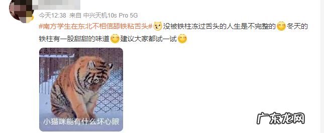 冬季舔铁粘舌的是 冬天舔铁粘舌的是什么原因