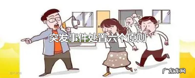 突发事件处置六个原则