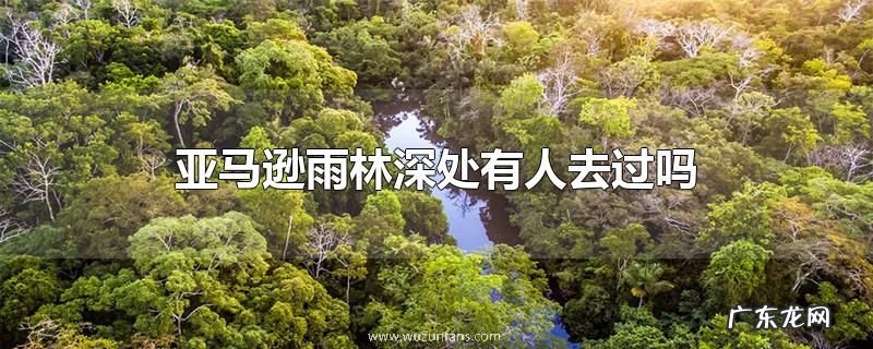 亚马逊雨林深处有人去过吗