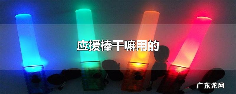 应援棒干嘛用的