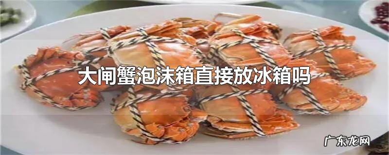 大闸蟹泡沫箱直接放冰箱吗