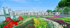 武汉汉口江滩菊花展在哪个广场?