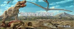 恐龙是胎生还是卵生