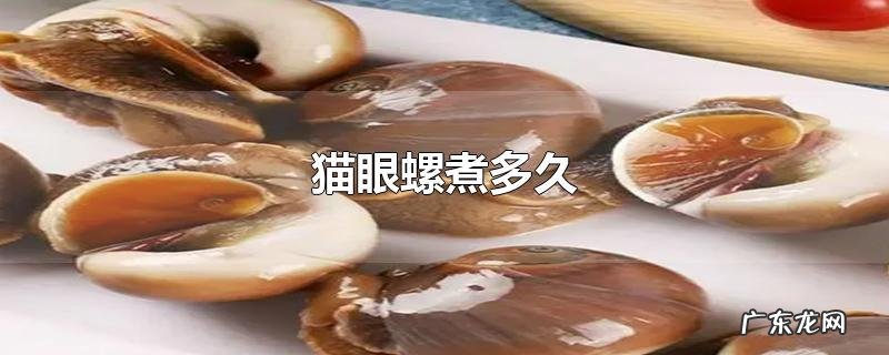 猫眼螺煮多久
