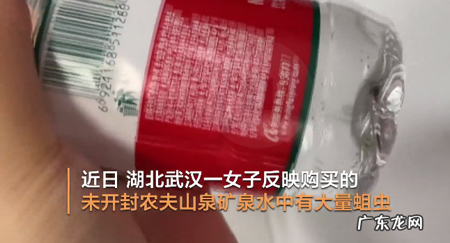 未开封农夫山泉出 未开封农夫山泉出现大量蛆虫