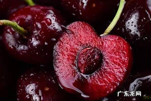 樱桃采摘完怎么管理，用什么肥料进行追肥