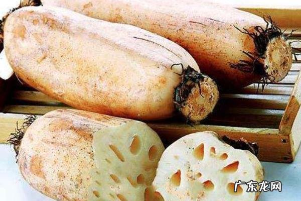 莲藕种植技术，不同品种适合种植的环境不同