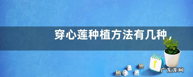 穿心莲种植方法有几种,分别介绍播种种植和扦插种植