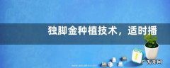 独脚金种植技术，适时播种