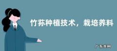 竹荪种植技术，栽培养料配方
