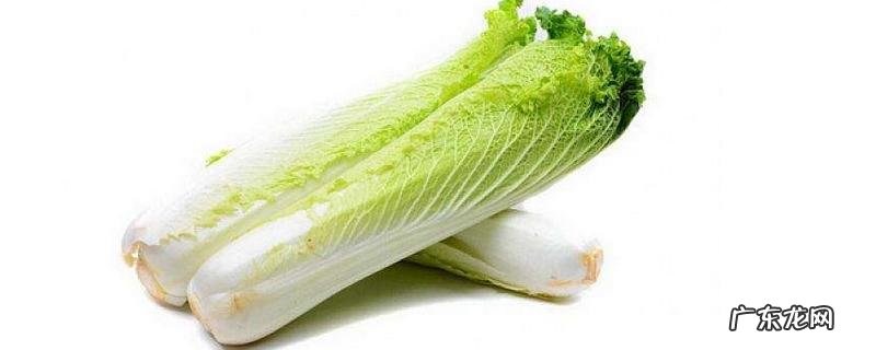 白菜种植技术,种子播种前需消毒处理