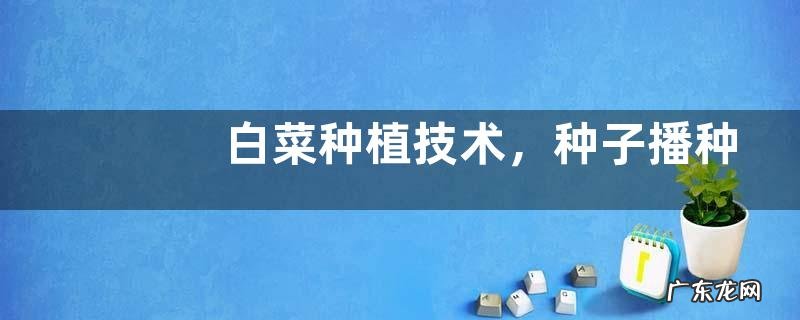 白菜种植技术,种子播种前需消毒处理