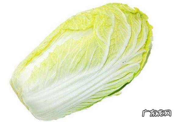 白菜种植技术,种子播种前需消毒处理